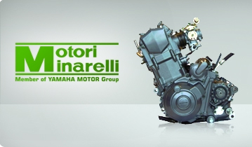 Minarelli 660